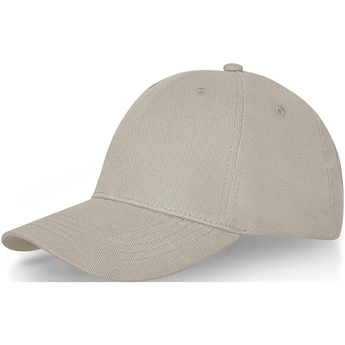 Davis 6 panel cap 1