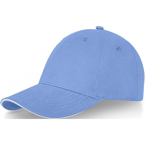 Darton 6 panel sandwich cap 1