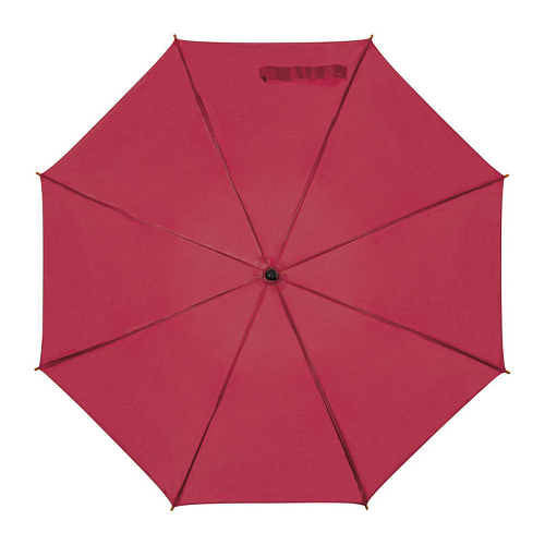 Automatic umbrella 2