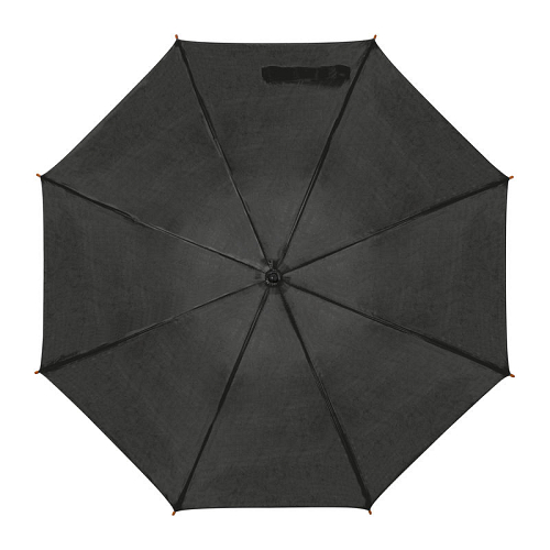 Automatic umbrella 2