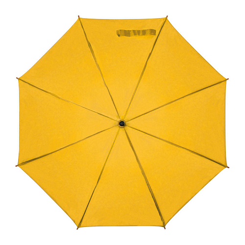 Automatic umbrella 1