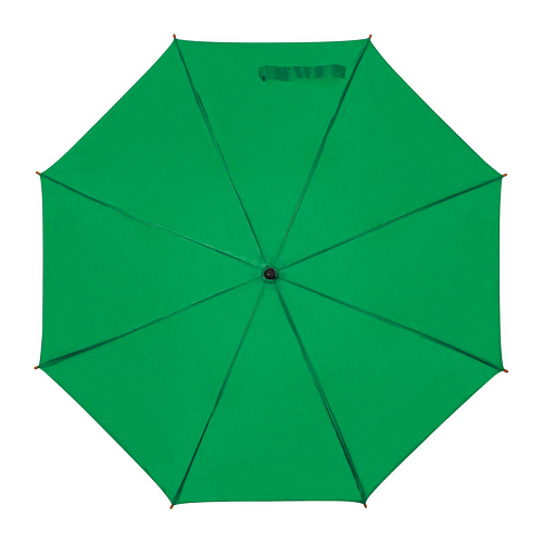 Automatic umbrella 2