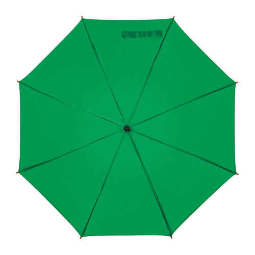 Automatic umbrella 1