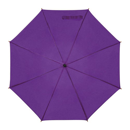 Automatic umbrella 2