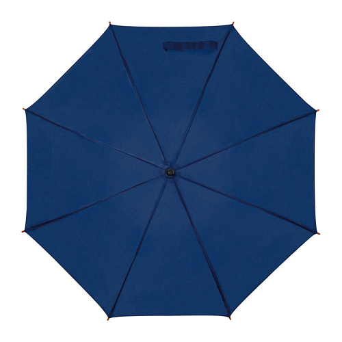 Automatic umbrella 2