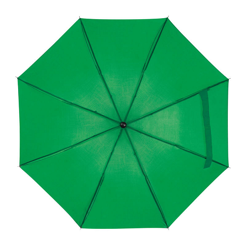 Telescope collapsible umbrella 2