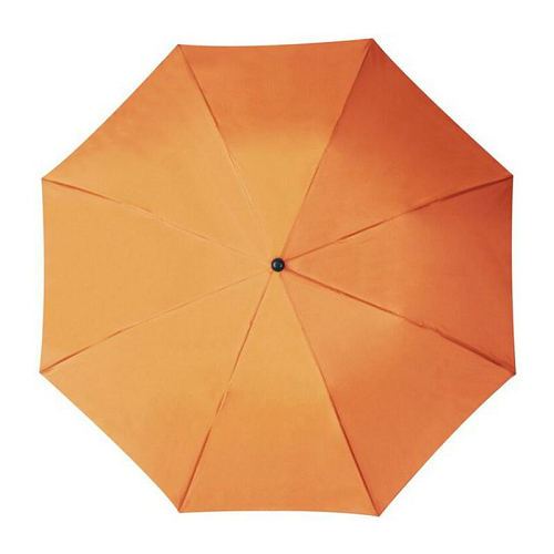 Telescope collapsible umbrella 2