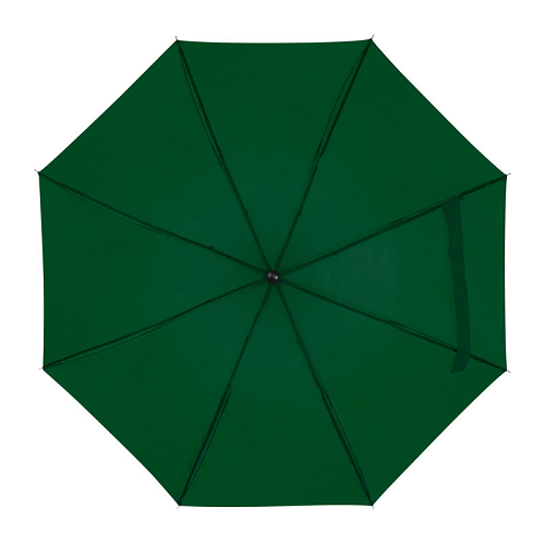 Telescope collapsible umbrella 2