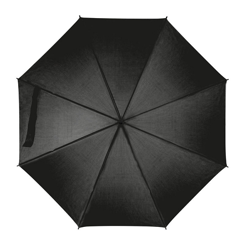 Automatic umbrella, plastic handle 1