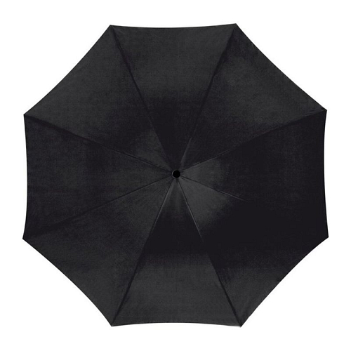 Automatic umbrella, plastic handle 2