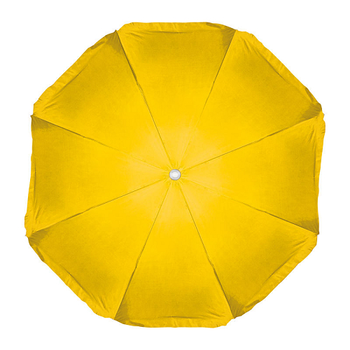 Parasol in a transparent bag 4