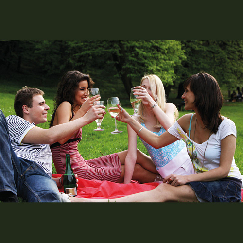 Fleece picnic and sofa blanket 4