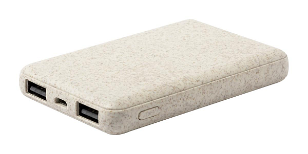 power bank, Durum 1