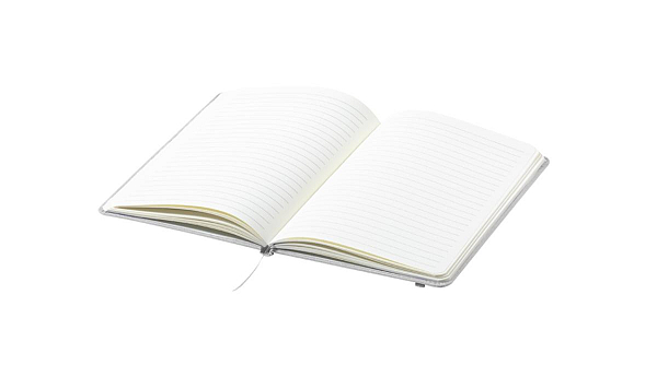 agenda RPET, Baccata 3