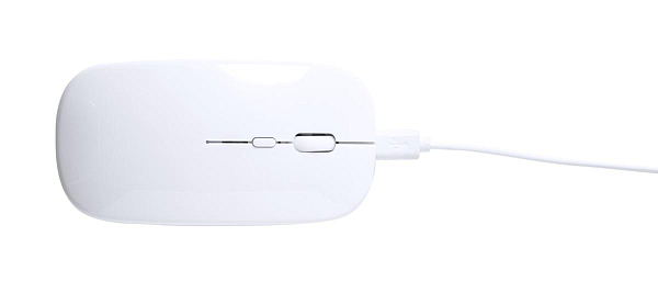 mouse optic RABS, Rabick 3