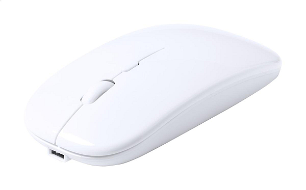 mouse optic RABS, Rabick 1
