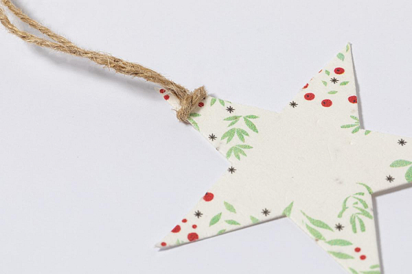 Ornament pentru brad de Craciun, stea, Boster 2