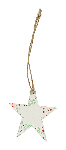 Ornament pentru brad de Craciun, stea, Boster 1