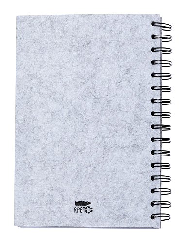 carnet RPET, Fionap 4