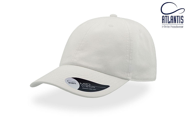 Sapca DAD HAT 1