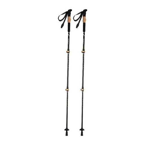 DENALI walking sticks 2