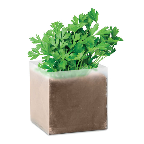 Compost cu seminte PARSLEY 1