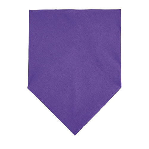 BANDANA DARK PURPLE 2